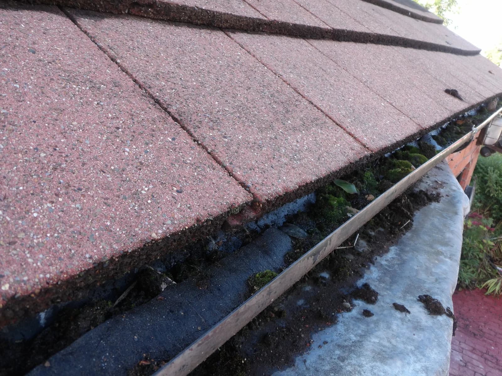 Moss and debris collected in a rainwater gutter.